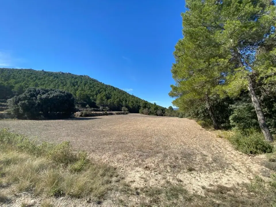 Земельный участок 41 773 м² рядом с Alcoy, Alicante — 7